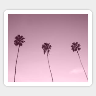 Palm tree sunrise boulevard Sticker